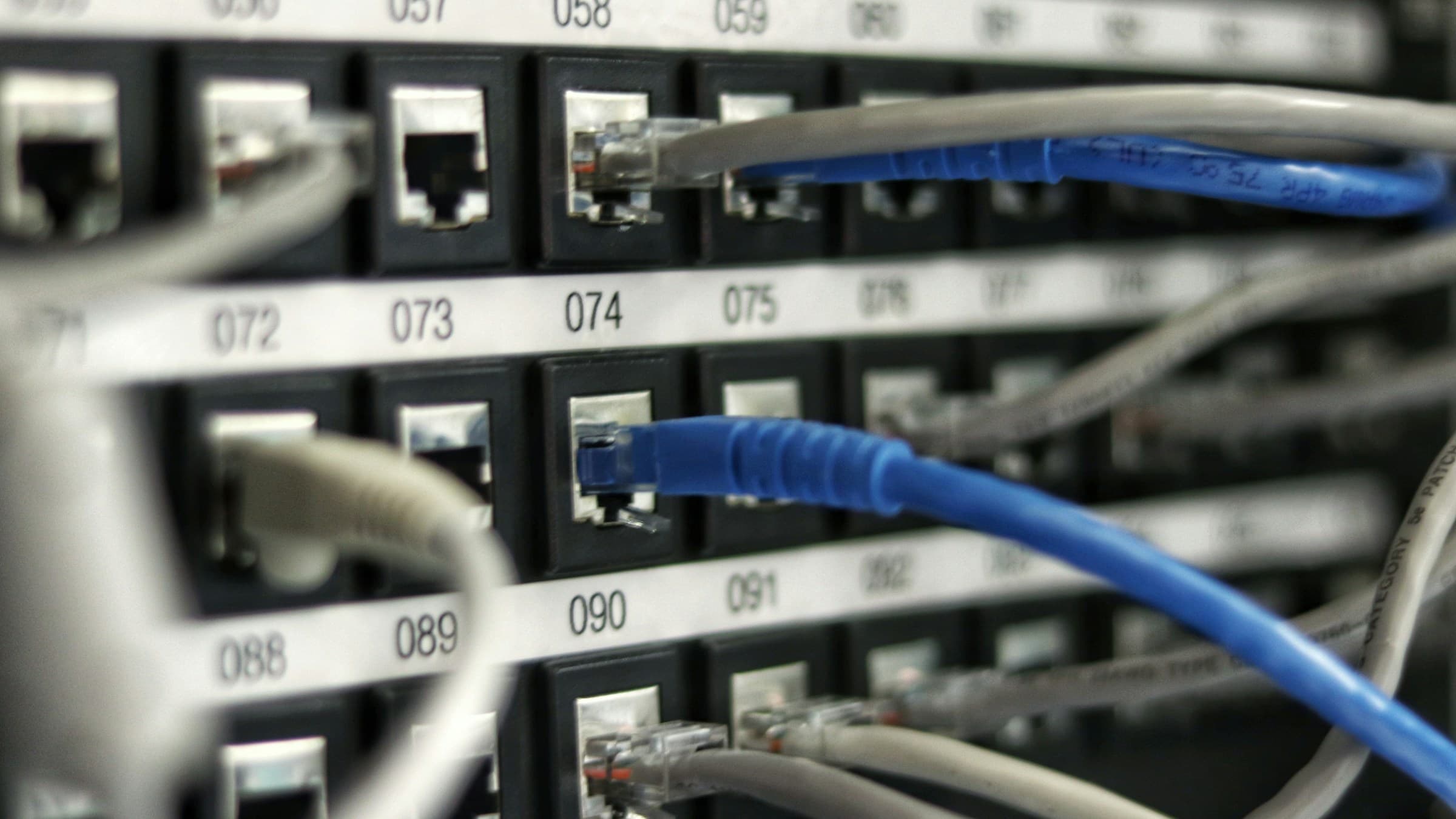 Network cables patched into a data-center switch.